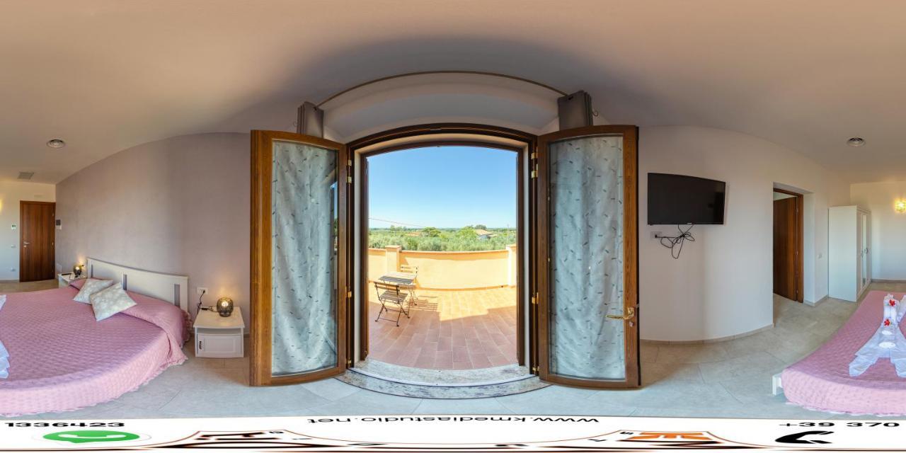Agriturismo Il Vecchio Olivo Castagneto Carducci Exterior photo